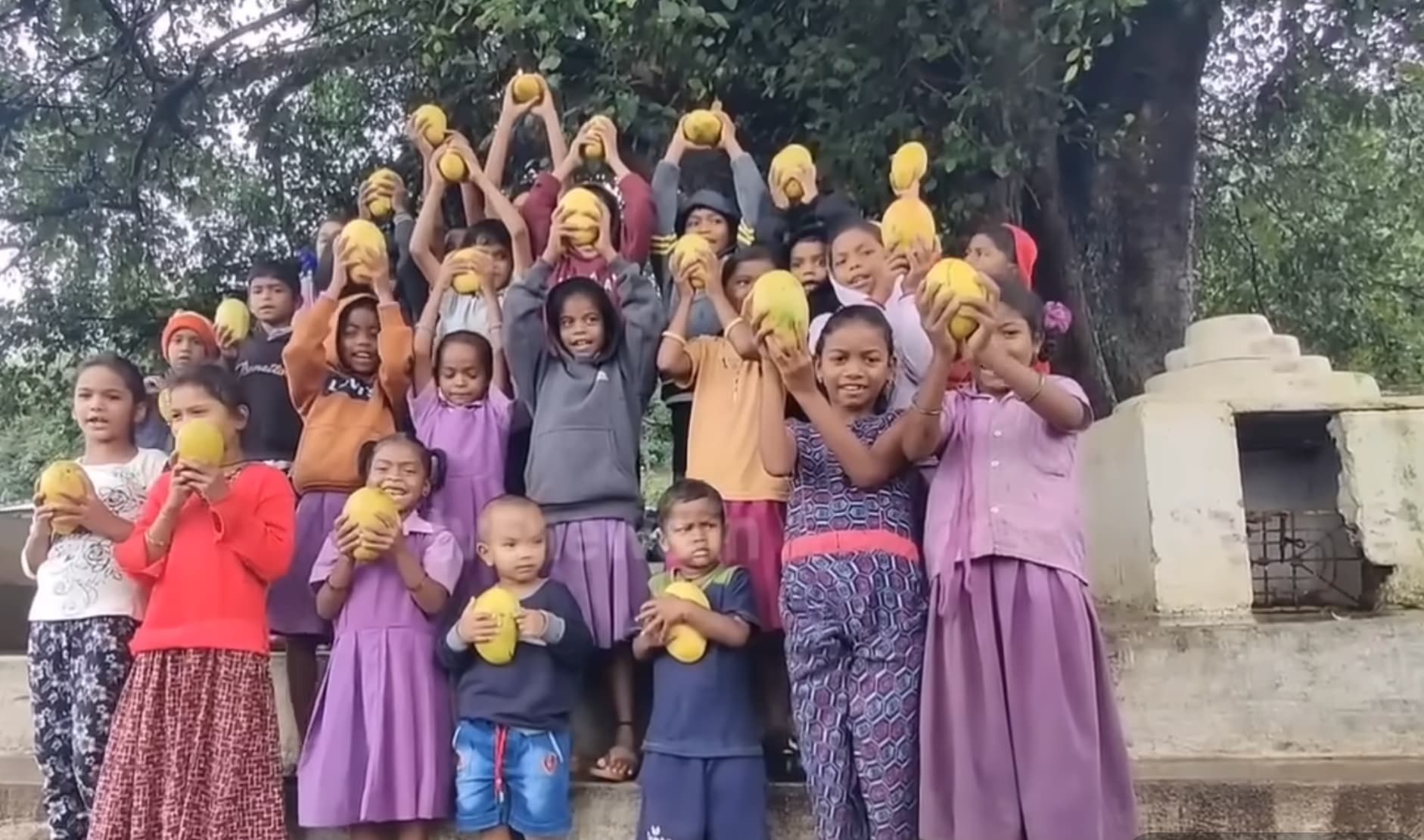 Pawan Kalyan sending mangoes from his farm to Kuridi villagers